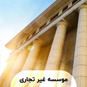 موسسه غیر تجاری